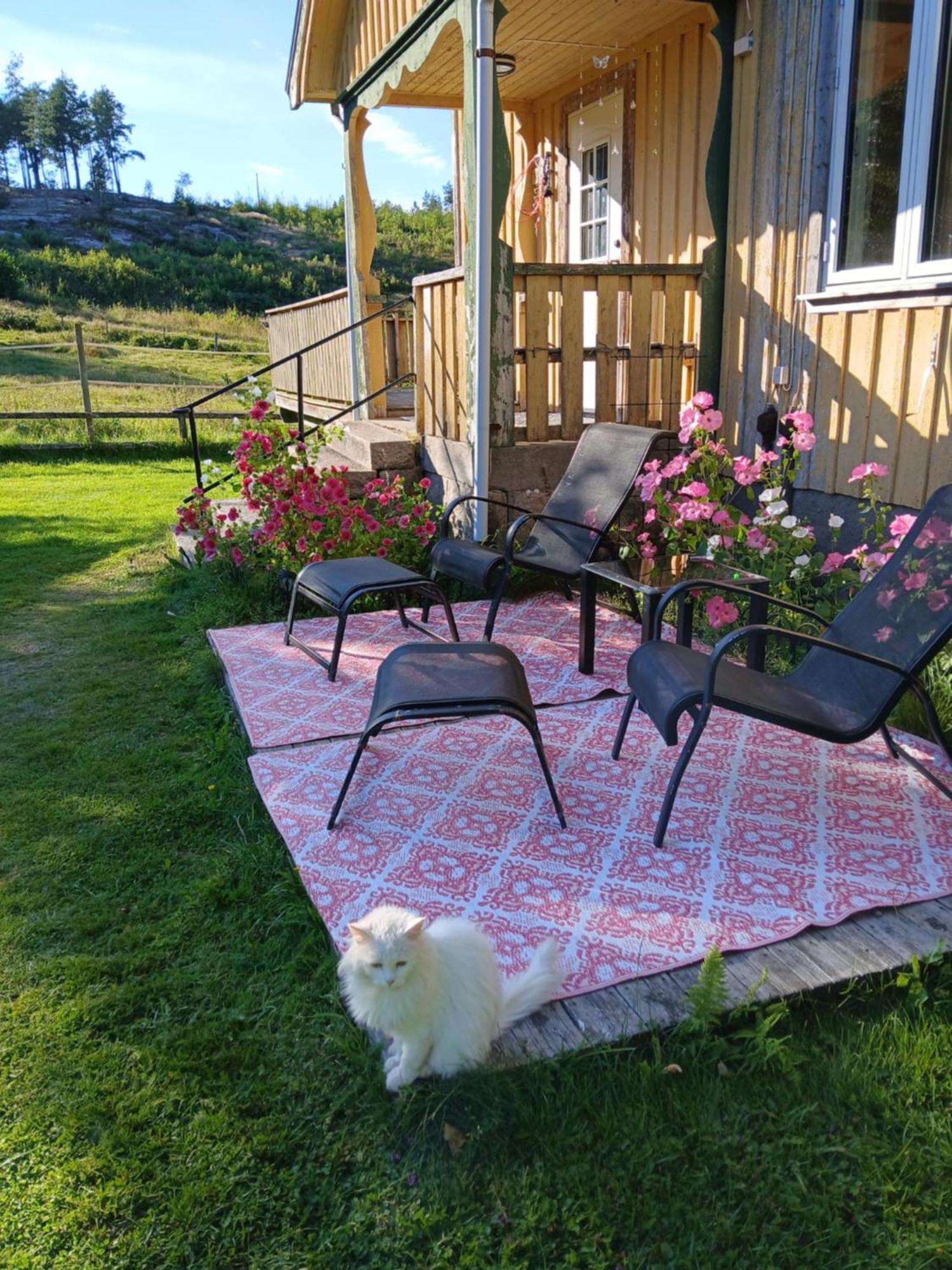 Charmigt Hus Pa Landet Naera Till Bad Strömstad المظهر الخارجي الصورة